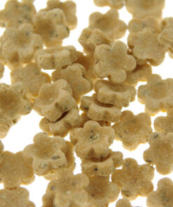 パピー・プッシュ・アップ