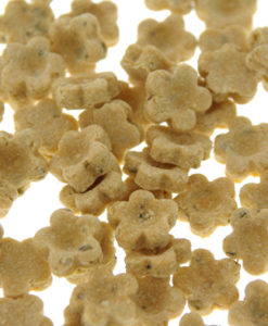 パピー・プッシュ・アップ