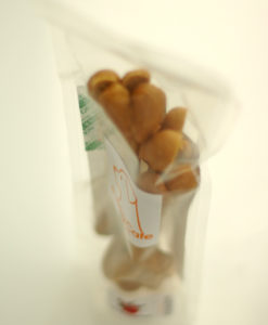 レオ’ズ・ロック