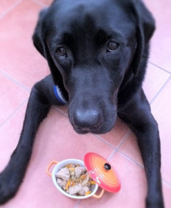 バースデー・ドッグ・ディナー（お誕生日：お魚料理）