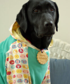 バースデー・ドッグ・ディナー(お誕生日:お肉料理)