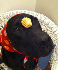 蕎麦マドレーヌ