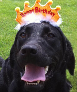 お誕生日アイテム