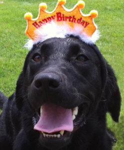 お誕生日アイテム