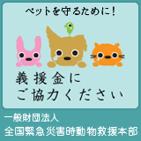 e-dogCafe オンライン