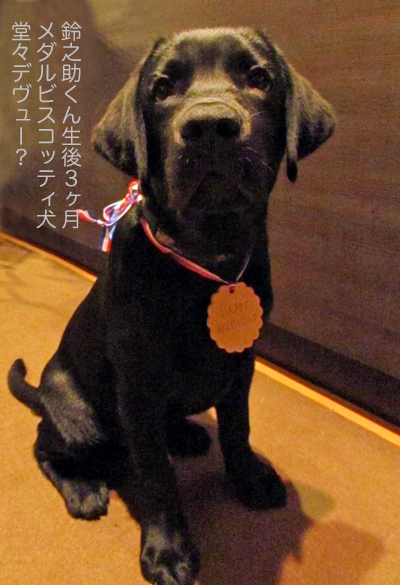 e-dogCafe オンライン