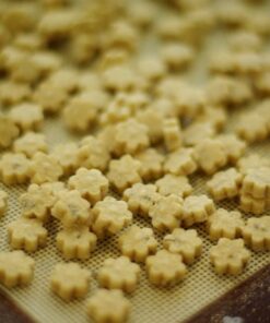 パピー・プッシュ・アップ (子犬の幼稚園のお供に最適)