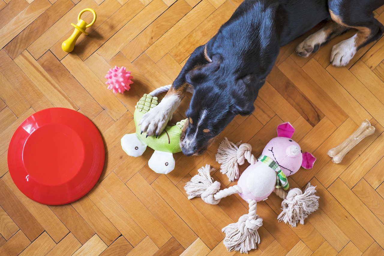 Black and tan dog on a wooden floor chews a green turtle plush among other toys nearby: a pink plush and a red disk-shaped plate.] , not great