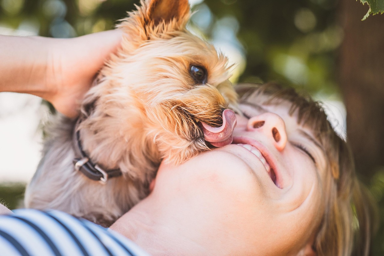 e-dogCafe オンライン